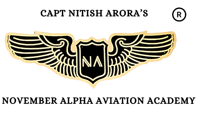 NAAA Logo